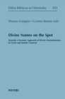 Divine Names on the Spot : Towards a Dynamic Approach of Divine Denominations in Greek and Semitic Contexts - eBook
