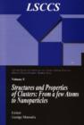 Structure and Properties of Clusters: from a few Atoms to Nanoparticles - eBook