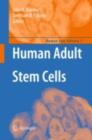 Human Adult Stem Cells - eBook