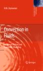 Convection in Fluids : A Rational Analysis and Asymptotic Modelling - eBook