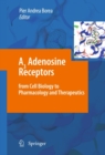 A3 Adenosine Receptors from Cell Biology to Pharmacology and Therapeutics - eBook