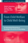 From Child Welfare to Child Well-Being : An International Perspective on Knowledge in the Service of Policy Making - eBook