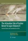 The Acheulian Site of Gesher Benot Ya'aqov Volume II : Ancient Flames and Controlled Use of Fire - Book