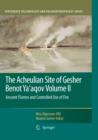 The Acheulian Site of Gesher Benot Ya'aqov Volume II : Ancient Flames and Controlled Use of Fire - eBook