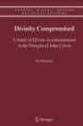 Divinity Compromised : A Study of Divine Accommodation in the Thought of John Calvin - Book