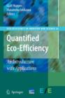 Quantified Eco-Efficiency : An Introduction with Applications - Book