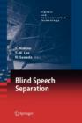 Blind Speech Separation - Book