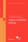 Progress on Meshless Methods - Book