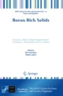 Boron Rich Solids : Sensors, Ultra High Temperature Ceramics, Thermoelectrics, Armor - eBook