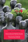 Postcolonial Netherlands : Sixty-Five Years of Forgetting, Commemorating, Silencing - eBook