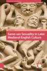 Same-sex Sexuality in Later Medieval English Culture - eBook
