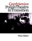 Gardzienice: Polish Theatre in Transition - Book