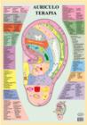 Auriculo Terapia -- A2 - Book