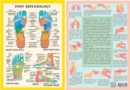 Foot Reflexology -- A4 - Book