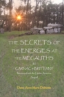 THE SECRETS OF THE ENERGIES AT THE MEGALITHS IN CARNAC & BRITTANY Measured with the Lecher Antenna Sequel - Book