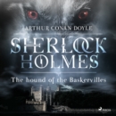 The Hound of the Baskervilles - eAudiobook