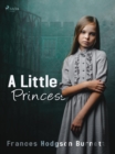 A Little Princess - eBook