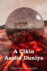 A Cikin Asalin Duniya : At the Earth's Core, Hausa edition - Book