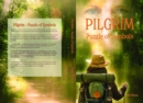 PILGRIM; Puzzle of Symbols : A true story of a spiritual journey on the Swedish Pilgrim routes - eBook