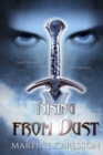 Rising from dust - Book