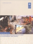 Evaluation of the Role and Contribution of UNDP in Environment and Energy - Book