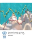 Survey of economic and social developments in the Arab region 2013-2014 - Book