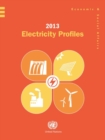 2013 electricity profiles - Book
