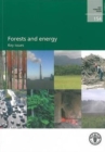 Forests and Energy : Key Issues - Book