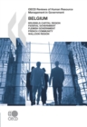 OECD Reviews of Human Resource Management in Government: Belgium 2007 Brussels-Capital Region, Federal Government, Flemish Government, French Community, Walloon Region - eBook