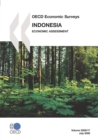 OECD Economic Surveys: Indonesia 2008 Economic Assessment - eBook