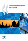 OECD Investment Policy Reviews: Indonesia 2010 - eBook