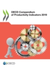 OECD Compendium of Productivity Indicators 2019 - eBook