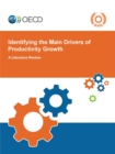 Identifying the Main Drivers of Productivity Growth A Literature Review - eBook