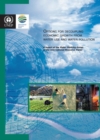 Options for decoupling economic growth from water use and water pollution : a report of the Water Working Group of the International Resource Panel - Book