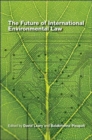 The future of international environmental law - Book