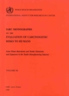 Some Flame Retardants and Textile Chemicals and Exposures in the Textile Manufacturing Industry : IARC Monographs on the Evaluation of Carcinogenic Risks to Humans - Book