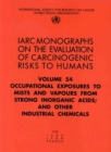 Occupational exposures to mists and vapours from strong inorganic acids : and other industrial chemicals - Book