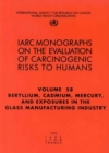 Beryllium, cadmium, mercury and exposures in the glass manufacturing industry - Book