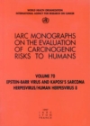 Epstein-Barr virus and Kaposi's Sarcoma Herpesvirus/Human Herpesvirus 8 - Book