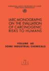 Some Industrial Chemicals : Iarc Monograph on the Carcinogenic Risks to Humans Some Industrial Chemicals v. 77 - Book