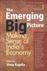 The Emerging Big Picture : Making Sense of India's Economy - Book