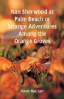 Nan Sherwood at Palm Beach : Strange Adventures Among The Orange Groves - Book