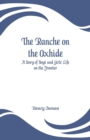 The Ranche on the Oxhide : A Story of Boys' and Girls' Life on the Frontier - Book