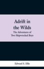 Adrift in the Wilds : The Adventures of Two Shipwrecked Boys - Book