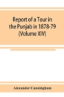 Report of a Tour in the Punjab in 1878-79 (Volume XIV) - Book
