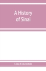 A history of Sinai - Book