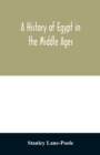 A history of Egypt in the Middle Ages - Book