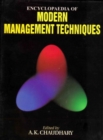 Encyclopaedia of Modern Management Techniques - eBook