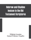 Hebrew and Chaldee lexicon to the Old Testament Scriptures; translated, with additions, and corrections from the author's Thesaurus and other works - Book