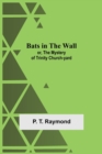 Bats In The Wall; Or, The Mystery Of Trinity Church-Yard - Book